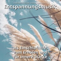 Ruhige Entspannungsmusik zum Einschlafen - Entspannungsmusik & Schlafmusik & Entspannungsmusik Paul Esgen