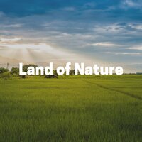 Stand By the Rain - Worldwide Nature Studios