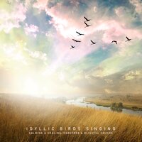 Feel Relieved - Calm Singing Birds Zone