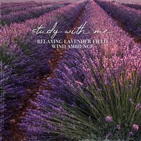 Relaxing Lavender Field Wind Ambience, Pt. 7 - Sebastian Riegl