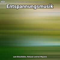 Entspannungsmusik Teil 21 - Entspannungsmusik Bodo Steier & Schlafmusik & Entspannungsmusik
