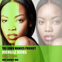 Soul 2 Soul - The Gruv Manics Project & Richelle Hicks