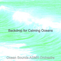 Background for Beach Waves - Ocean Sounds ASMR Orchestra
