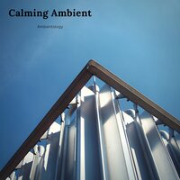 Peace in the Storm - Ambientology