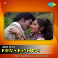 Cheredetako Telisi - P. Susheela & S. P. Balasubrahmanyam