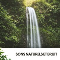 Imprägnierte Landschaft - Ruido Blanco Hart & The Nature Soundscapes & Travail Bureau France