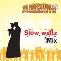 Save the Last Bolero Medley - The Professional DJ & Danny Supply