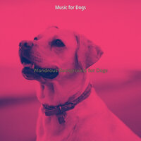 Divine Jazz Guitar Trio - Vibe for Sleeping Dogs - Music for Dogs