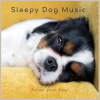 My Dogs and I - Sleepy Dog Music