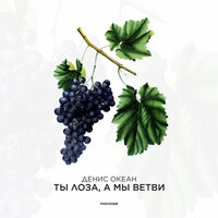 Ты Лоза, а мы ветви - Денис Океан
