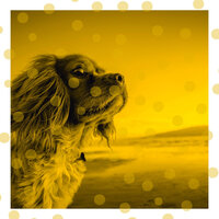 Deluxe Jazz Trio - Vibe for Sleepy Pups - Music for Leaving Dogs Home Alone