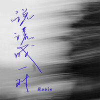 说谎成一对 - Robin