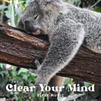 Light Tranquility - Soothing Music for Sleep & Sleep Music Dreams & Sleep Aid For Insomnia