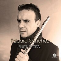 Grande Serenade in D Major, Op. 82: I. Thema Grazioso - II. Variation 1 - III. Variation 2 - IV. Variation 3 (Piu Lento) - V. Menuetto [Allegretto] - Vi. Marcia [Maestoso] - VII. Allegro Brillante - Eduard Sánchez & Мауро Джулиани