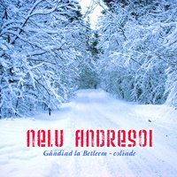 Astazi un cantec rasuna - Nelu Andreșoi