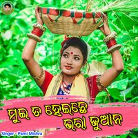 Mui Ta Heichhe Bhara Juana - Pami Mishra