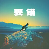 要错 - 艾可薇