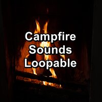 Fire For Concentration Sleep for 10 Hours - Relaxing Rain Sounds & Meditation Rain Sounds & Nature and Rain