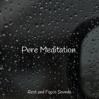 Melodious Mantra - Mindfulness Mediation World & Meditacao Clube & Asian Zen: Spa Music Meditation