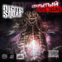 П.Д.У. - Digital Squad