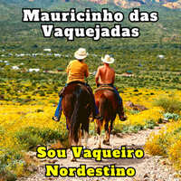 Boi Cigano - Mauricinho das Vaquejadas