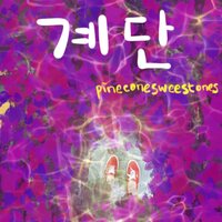 Case - pineconesweestones