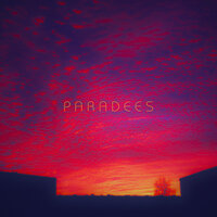 Wicked Vibrations - Paradees