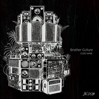 Jump up Pon It - Brother Culture & Radikal Vibration