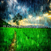 В мире природных чудес - Nature Sounds Artists