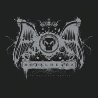 Strange Owl Experiment - Noisia