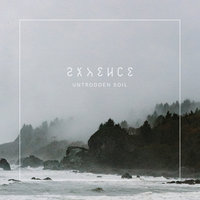 Polaroid - Skyence