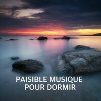 Cascade pour Réduire le Stress - Relaxation Sommeil et Détente