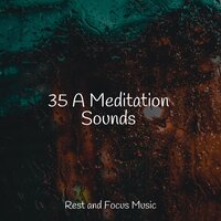 Everlasting Forest - Música de la Naturaleza & Meditative Music Guru & Sleep Meditation Dream Catcher