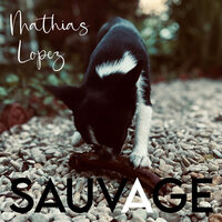 Ilang Ilang - Mathias Lopez
