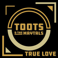 54-46 Was My Number - Toots & The Maytals & Jeff Beck