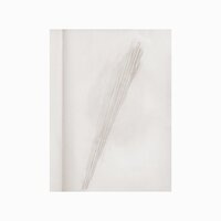 The Shore - Lawrence English