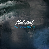Ambient White Noise of Nature - Ambientalism, Sleep Tight, Sound Sleeping & Sound Sleeping & Ambientalism & Sleep Tight