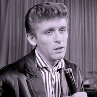 It's Goodbye Then - John Leyton
