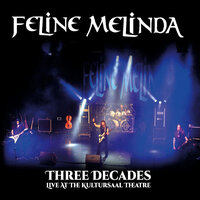 HeadMatt's Guitar Solo - Feline Melinda