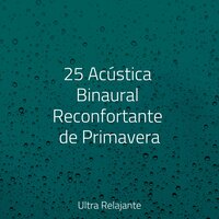 Torres Brumosas - Massagem Coleção de Músicas & Ambiente & Mantra para Meditar