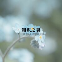 心灵启迪曲 - 睡眠疗愈乐
