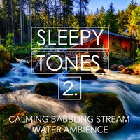 Calming Babbling Stream Water Ambience, Pt. 8 - Jason Rivers