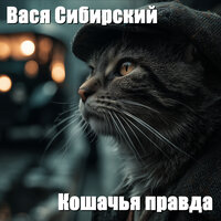 Девять жизней - Вася Сибирский