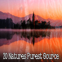 Осознанная прогулка - Nature Sounds Artists