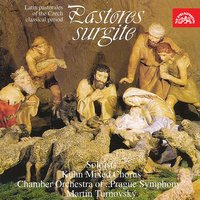 In Betlehem, pastores, natus est Jesulus. Aria pastoralis - Martin Turnovsky & Chamber Orchestra of Prague Symphony & Marta Benacková & Marta Beňačková, Chamber Orchestra of Prague Symphony, Martin Turnovský