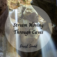 Creek Sounds Sleep - Waterfall Sounds & Relaxing Music Therapy & Cat Music Experience