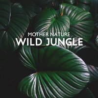 Tropical Rainforest (Flute Music) - Mothers Nature Music Academy