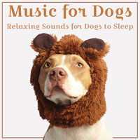 Spirit Cleanse - RelaxMyDog & Dog Music Zone & Puppy Sleep Dreams