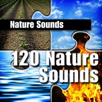 Rolling Oceanside Waves for Deep Sleep - Nature Sounds