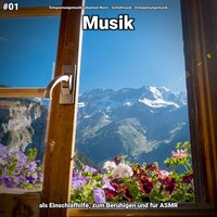 Instrumental gegen Ruhestörung - Entspannungsmusik Sebastian Noiro & Schlafmusik & Entspannungsmusik